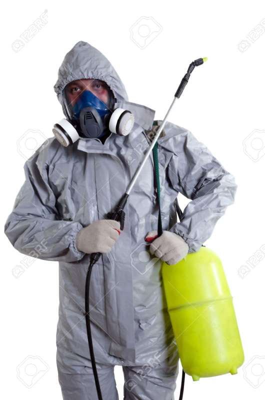 Wood-Destroying Organism (WDO) Inspections